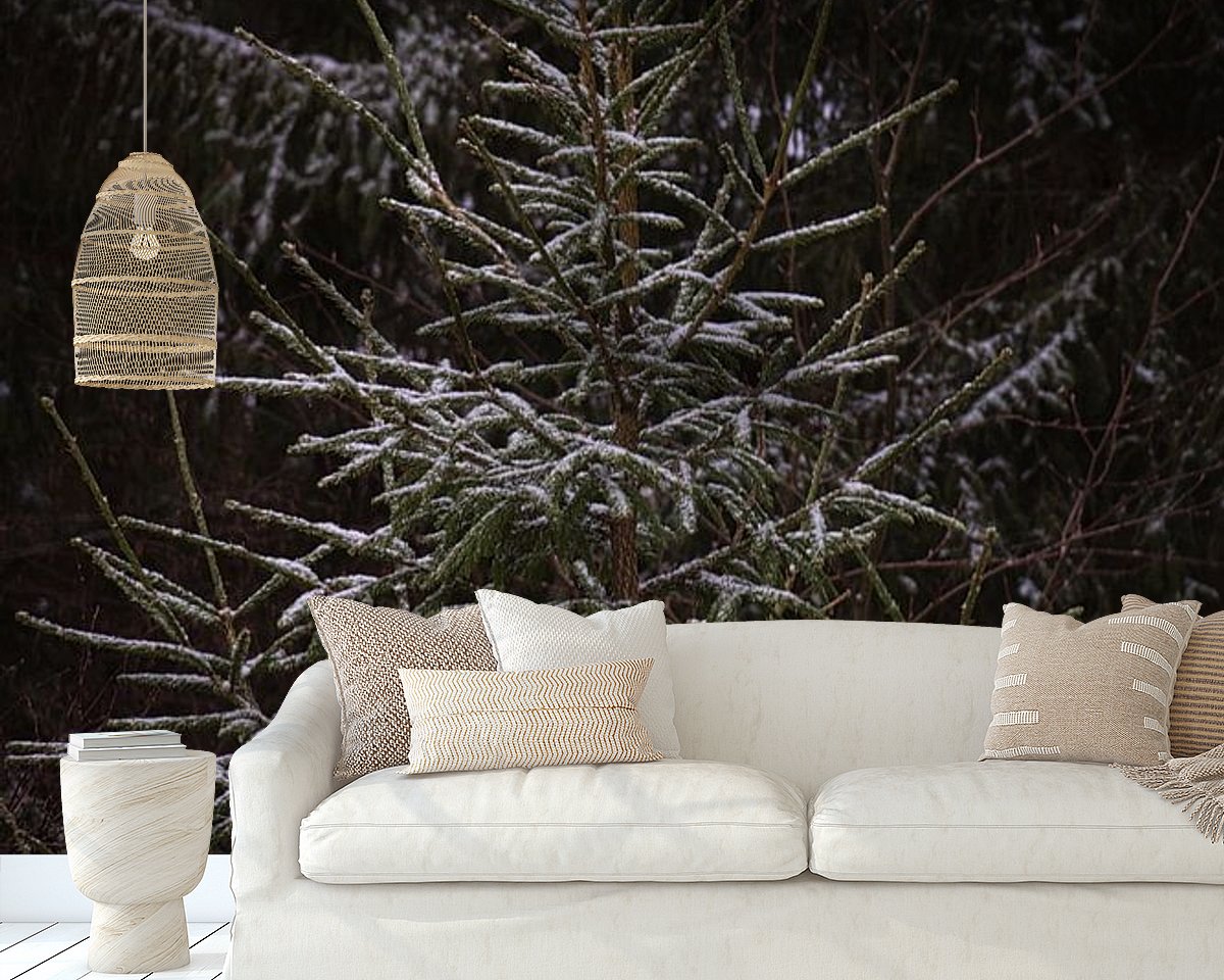 Raumvorschau