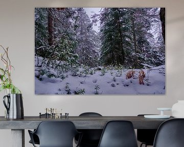 Kleine planten in een winters bos van Joran Quinten