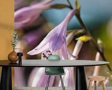 Hosta bloem van Rob Boon