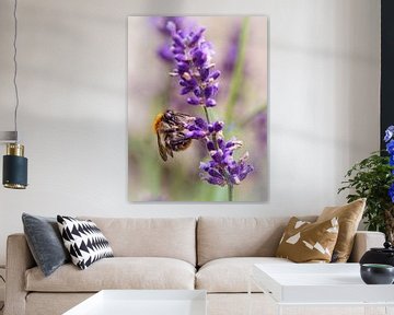 Bee on Lavender by Rob Boon