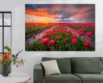 Bollenveld met rode tulpen | Landschapsfotografie | Zonsondergang in Flevoland van Marijn Alons