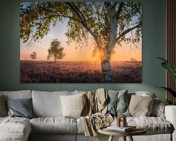 Bloeiende heide met berkenboom en zonsondergang | Landschapsfotografie | Zomer van Marijn Alons
