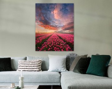 Zonsondergang met gekleurde wolken bij de tulpen | Landschapsfotografie | Flevoland van Marijn Alons