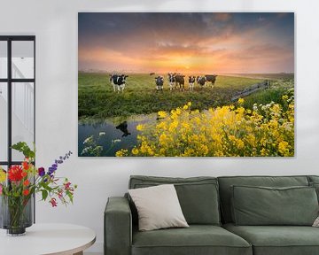 Holländische Kühe bei Sonnenaufgang | Landschaftsfotografie in den Niederlanden | Frühling von Marijn Alons