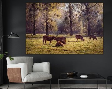 Vaches dans la vallée de la Geul près de Gulpen sur Rob Boon