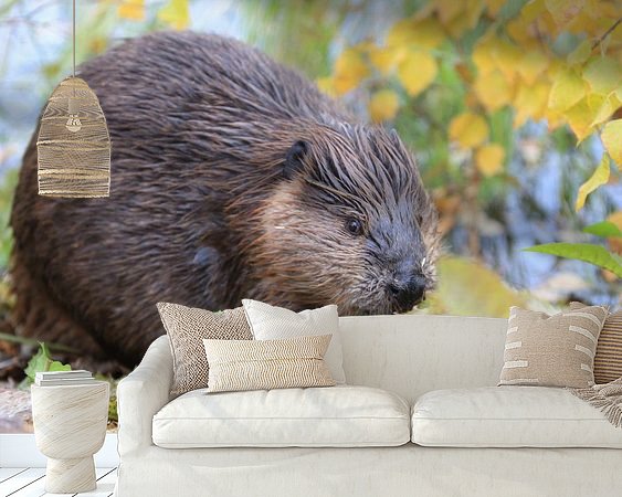 Raumvorschau
