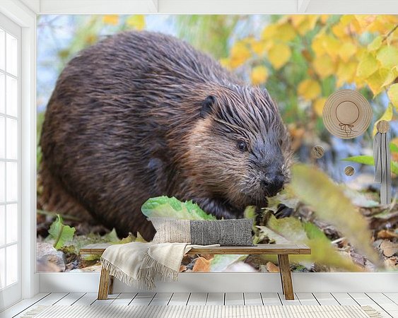 Raumvorschau
