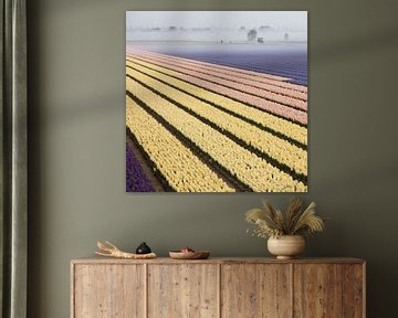 Hyacinth veld in Lisse van Paul Heijmink