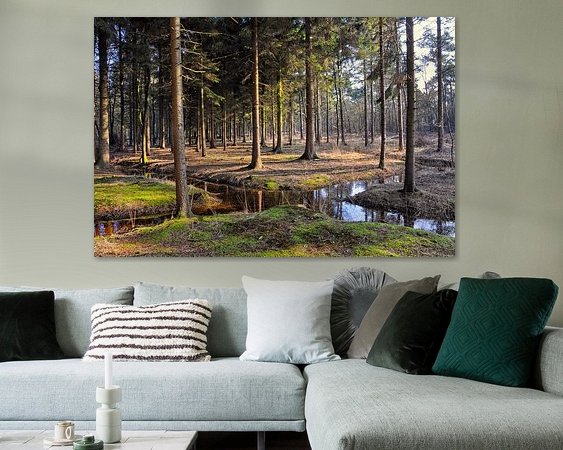 Aperçu de la chambre