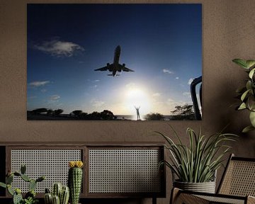 Approaching Flamingo Airport  Bonaire by Liesbeth Vogelzang