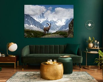 Steenbok Mont Blanc massief van Menno Boermans