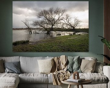 Grillige silhouetten van kale bomen in het water