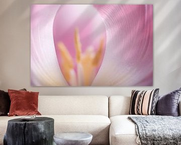 Die schützenden Blätter der rosa-weißen Tulpe (Pastellfarben) von Marjolijn van den Berg