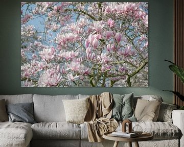 Magnolienblüte von Caroline Drijber