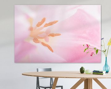 Het hart van een zacht roze tulp (pastelkleuren) van Marjolijn van den Berg