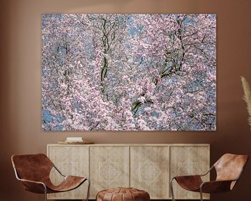 cherry blossom by Caroline Drijber