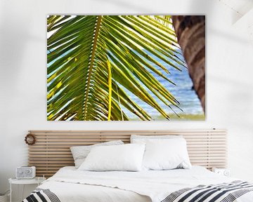 Palmen an tropischen Stränden  auf den Seychellen von MPfoto71