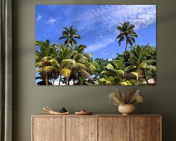Palm trees on tropical beaches in Seychelles by MPfoto71