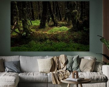 Geheimzinnig bos in Ierland van Bo Scheeringa Photography