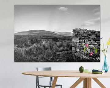 Ruinen in einer weiten Landschaft in Irland von Bo Scheeringa Photography