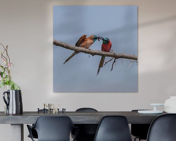 Aperçu de la chambre