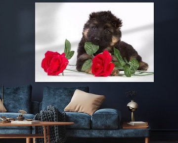 Duitse herder pup met rode rozen van Dagmar Hijmans