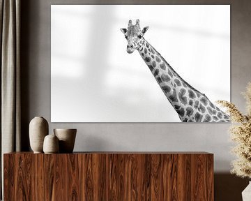 Giraffe zwart wit van marjolein kranendonk