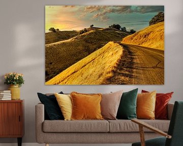 Road at sunset in hill range of mount Tamalpais California USA by Dieter Walther