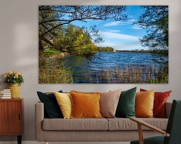 Nationalpark Mecklenburgische Seenplatte in Deutschland von Animaflora PicsStock