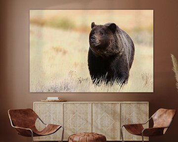 Grizzly Bear Yellowstone National Park Wyoming USA by Frank Fichtmüller