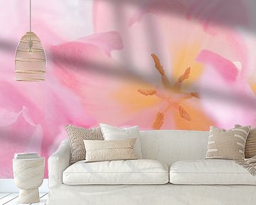 Light pink tulip from above by Marjolijn van den Berg