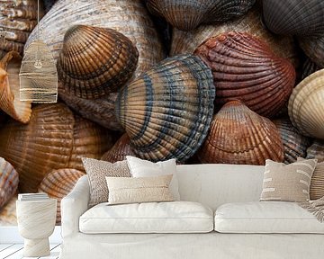 A collection of shells (brown, beige and sandy) after a wave of water