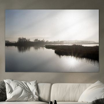 Zon in de kreek van natuurgebied de Braakman in Zeeland