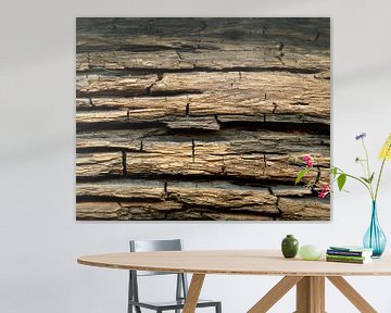 Weathered tree bark of a bog oak from a glacial lake by Susanne Kanamüller