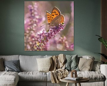 lesser butterfly on heath by renata de wit