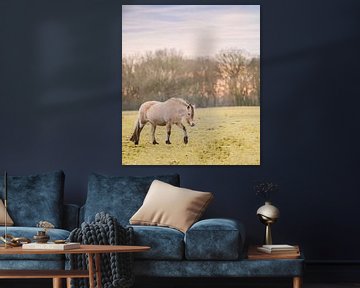 Paard tijdens zonsondergang van Inge Jansen