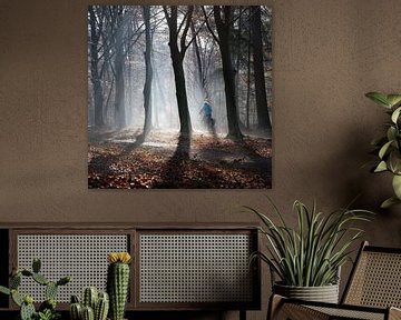 cyclist in foggy forest by anton havelaar