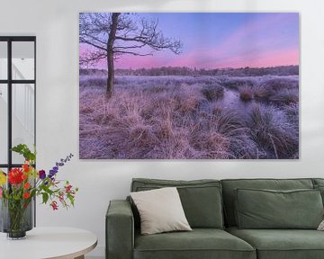 Zeegser Duinen van P Kuipers