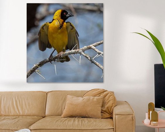 Voorbeeld van het werk in een kamer