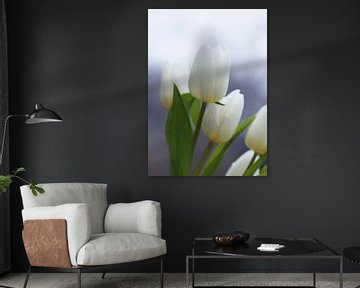 Tulpen Wit van Fotos by Angelique
