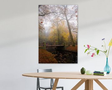 Forêt brumeuse en automne avec pont et vélo