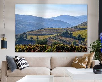 Vignobles de la vallée du Douro