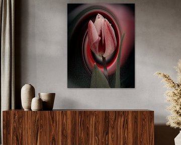 Tulpen-Kunst von Saskia Schotanus
