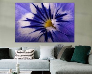 Blauw - wit viooltje van Marjolijn van den Berg