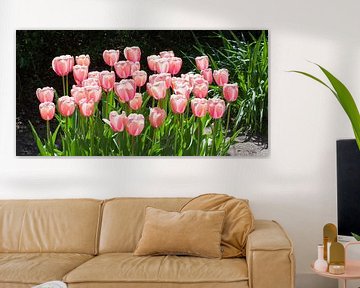 Roze tulpen in Panorama formaat. van Wunigards Photography