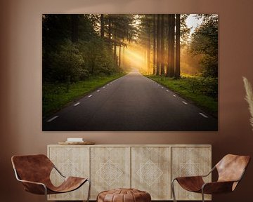 Road through the Speulderbos in Ermelo Netherlands with sunrays by Bart Ros