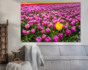 Tulips 7 by Eriks Photoshop by Erik Heuver