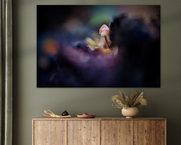 Macro shot of small mushrooms on a tree stump in the woods by Bart Ros