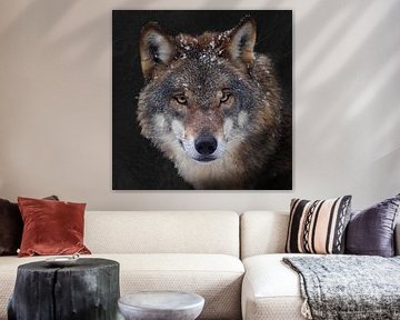 Wolf slate background