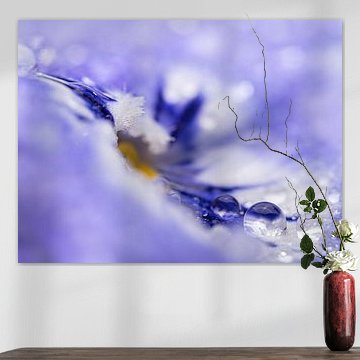 Abstracte lijnen uit de natuur: Rust en eenvoud in de lente van Marjolijn van den Berg